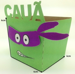 cx tartaruga4